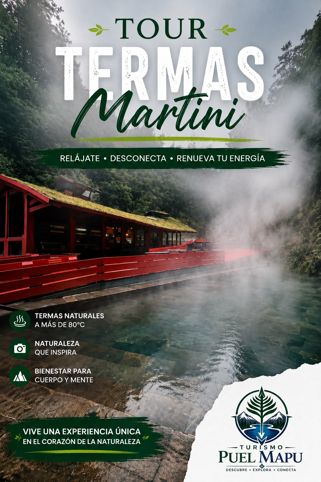 Tour privado a Termas Martini